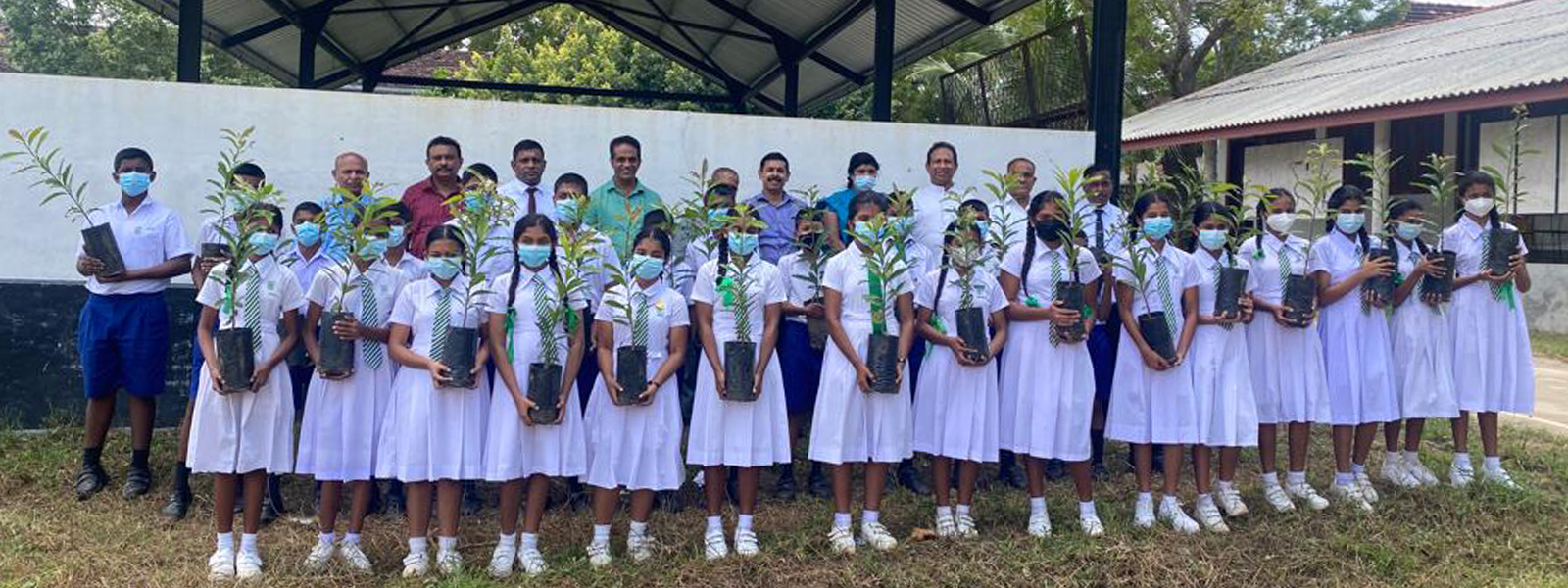 Mee Tree Planting To Reduce Carbon Footprint